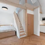 V Kapradi-4 By Interhome Lejlighed